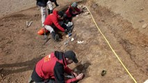 Scientists study extensive dinosaur site in Chilean Patagonia