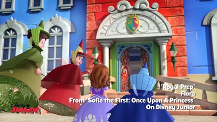 Sofia the First - Royal Prep - Music Video - HD