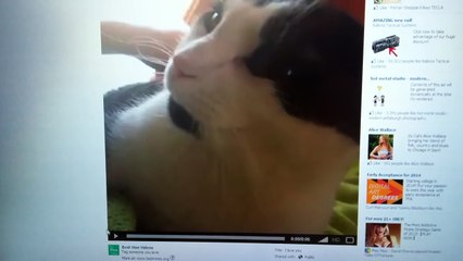 Walter tells it how it is...