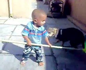 babey vs dogy