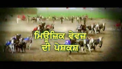 Prof Sarbjit Singh Dhunda on Des Pardes TV Jan 2016