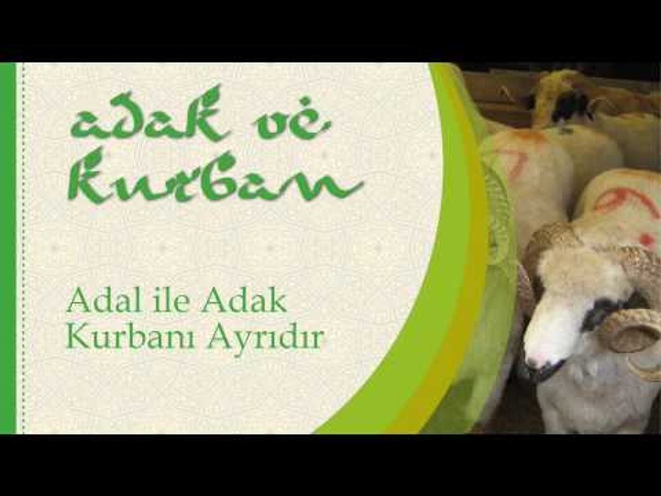 Adal Ile Adak Kurbanı Ayrıdır - Sorularla İslamiyet