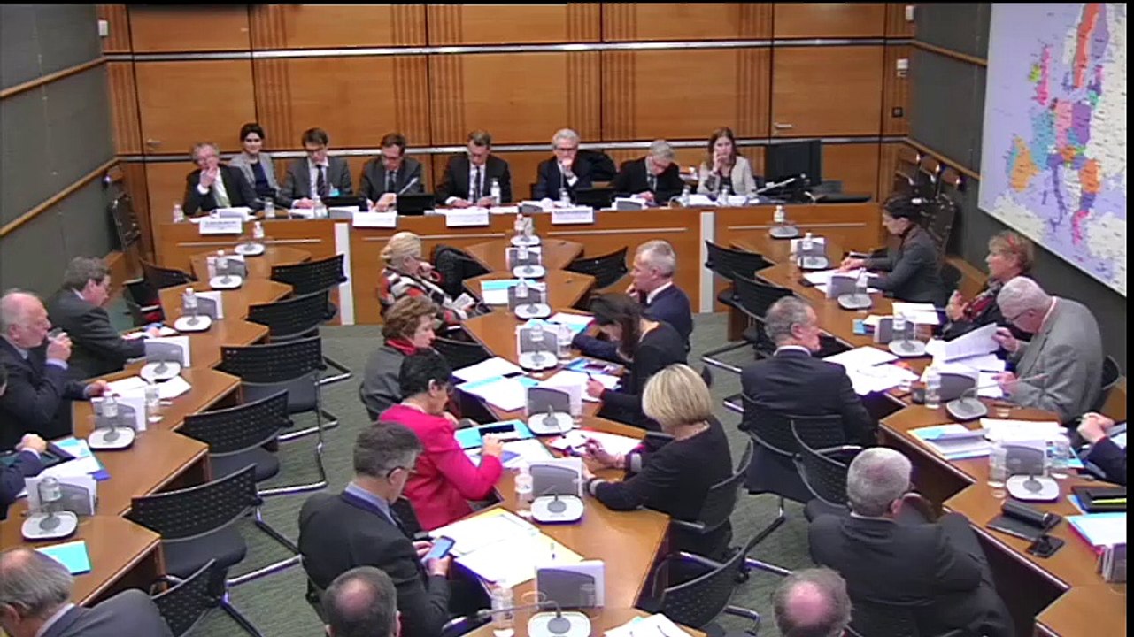 Audition de P.-F. Chevet par la commission du développement durable le 1er mars 2016