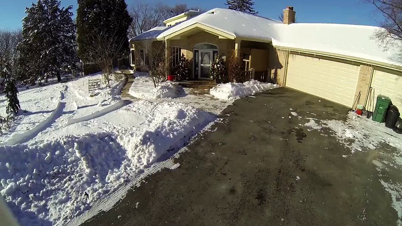 Christmas trees and snow