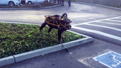 Un chien joue avec un robot à 4 pattes