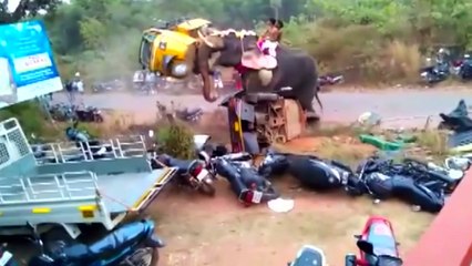 Elephant destroys rickshaw during festival in India