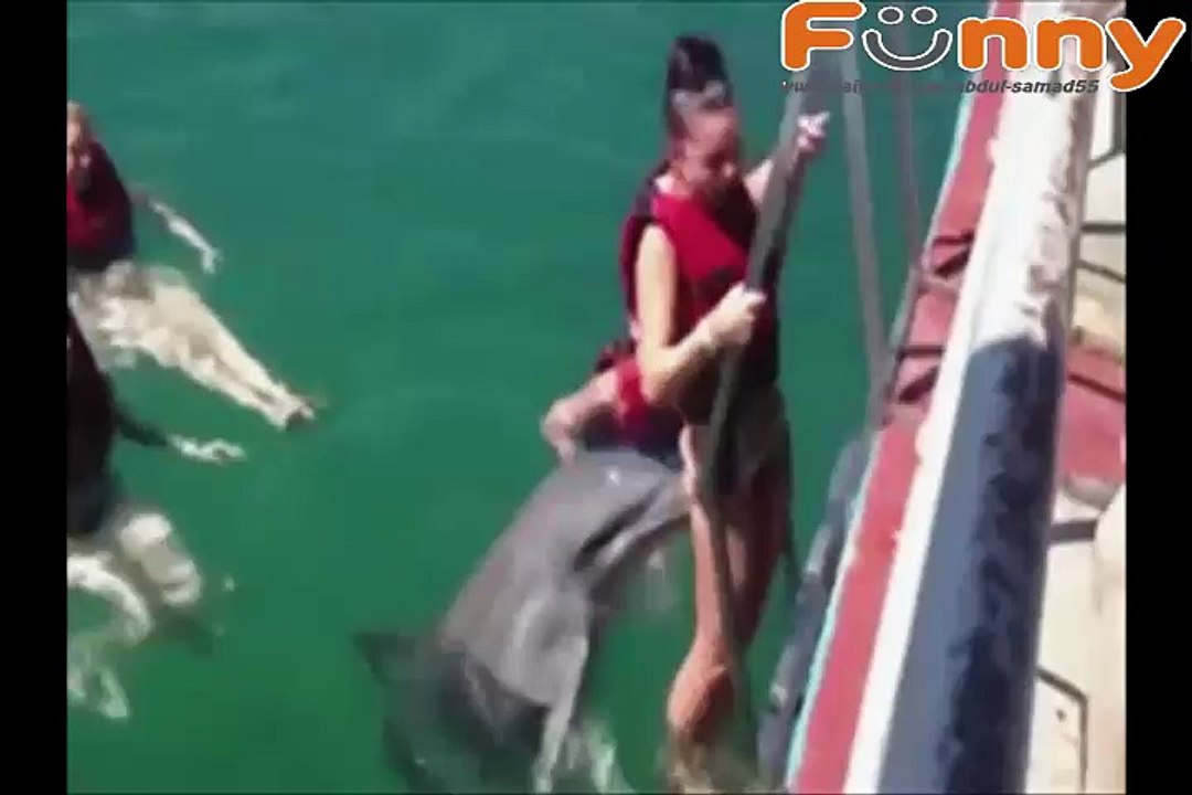 Best Funny Video  Funny Fails Funny Animals Funny Pranks & Jokes - Dailymotion