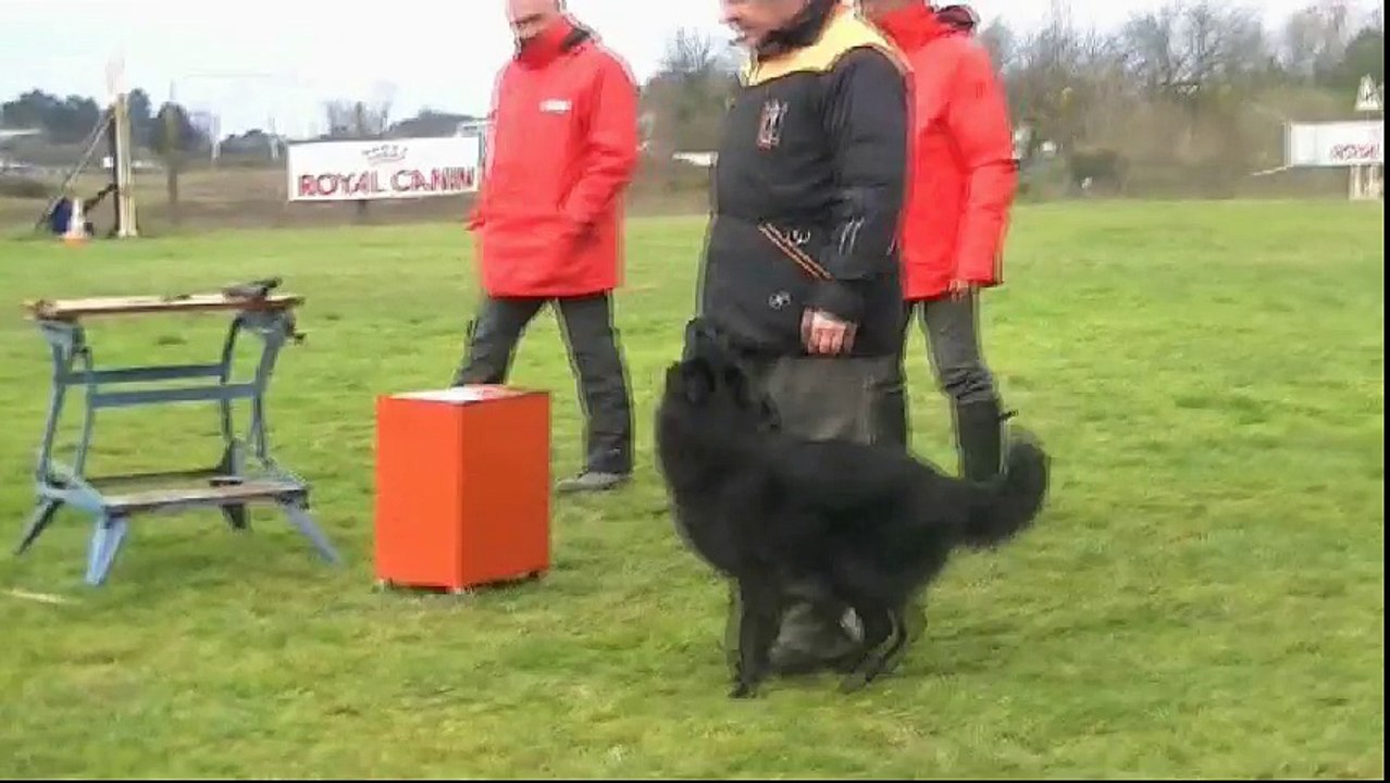 Premier Mondioring 1 pour Starbuck