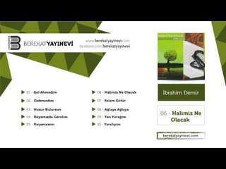 İbrahim Demir - Halimiz Ne Olacak