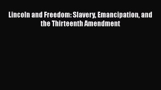 PDF Lincoln and Freedom: Slavery Emancipation and the Thirteenth Amendment  Read Online