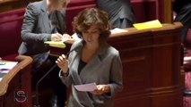 Vote solennel de la loi « Liberté de création, architecture et patrimoine » au Sénat