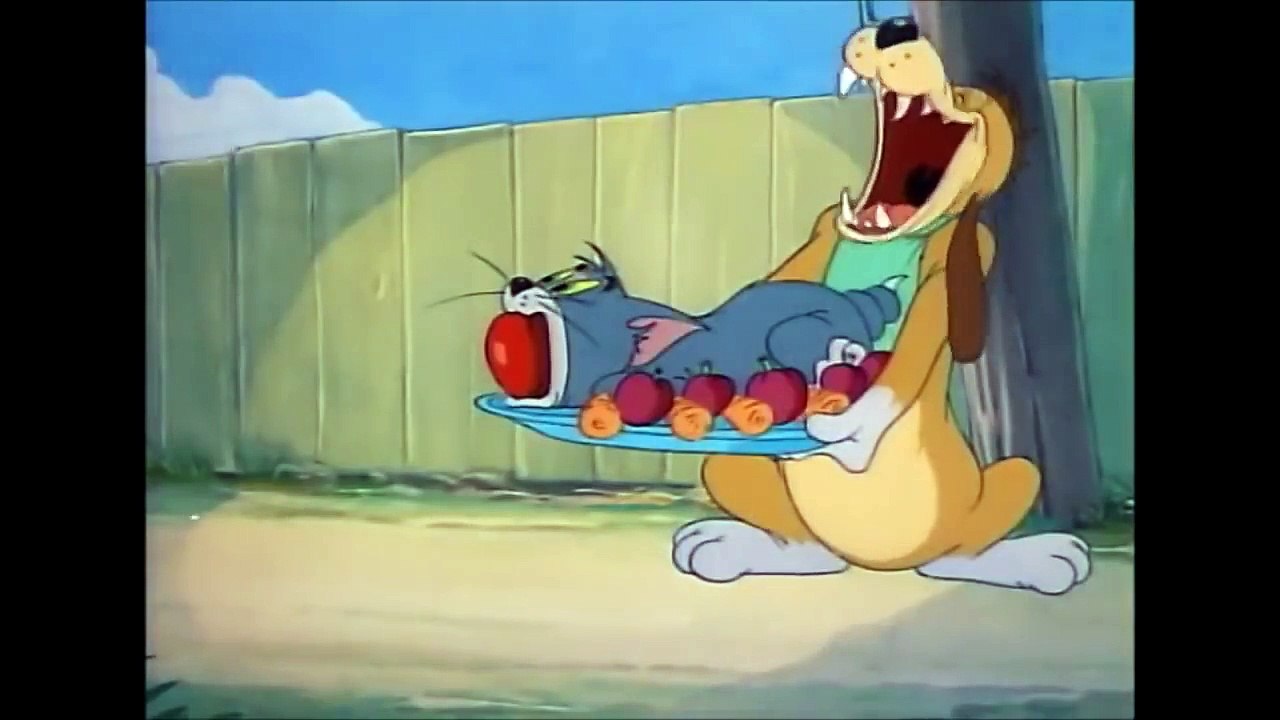 Tom and Jerry, 35 Episode CHIA THIT