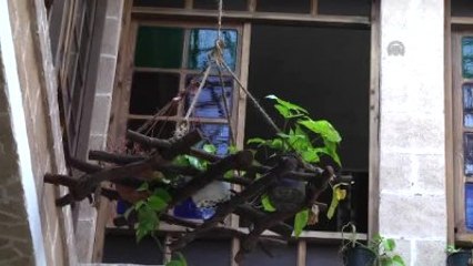 Gazze'de "Yeniden Hayat Bulan" Tarihi Eserler