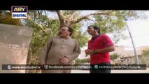 Watch Bulbulay Episode - 309 - 2nd March 2016 on ARY Digital