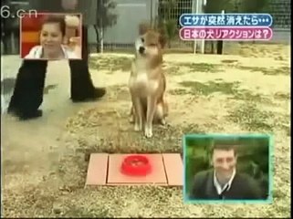 Новые Чумовые Японские приколы