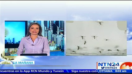 OPS adelanta reunión para conocer avances sobre el virus zika