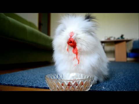 Video of Rabbit Eating Berries Is Both Cute and Terrifying