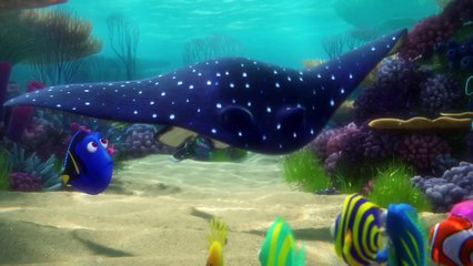 Tráiler de Buscando a Dory