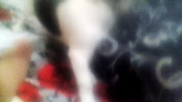 Моя собака лает !