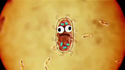 Rise of the Bacteria - Elmore Stream The Amazing World Of Gumball