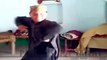 Pathans Got Talent Dance U Have Never Seen Before top songs best songs new songs upcoming songs latest songs sad songs hindi songs bollywood songs punjabi songs movies songs trending songs mujra dance Hot songs