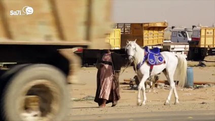 #صاحي - -ضربة حرة - 411 - وشبك ما تجاوب ! - YouTube