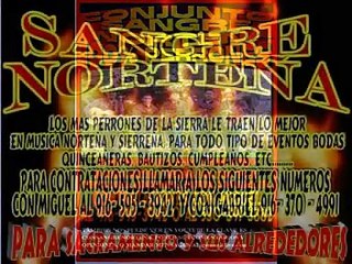 SOY JEFE DE LOS ANTRAX(EN VIVO 2010) LOS BUCHONES DE CULIACAN