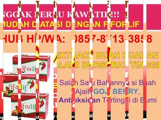 0857-8713-3858 (Indosat), Agen Fiforlif di Pontianak,