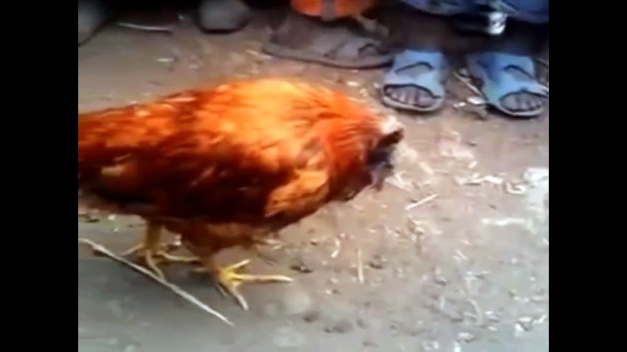 最恐佈の十三篇靈異片 ( 膽小勿入超強恐怖 ) :警告觀眾必須年滿 18 歲才能觀看有年齡限制的影片。