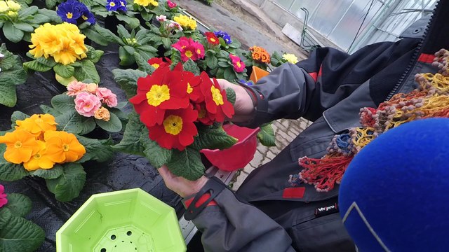 Les Experts Jardin souhaitent une bonne fête à toutes les grands-mères !