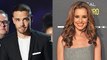 Liam Payne Deletes Pic With Cheryl Fernandez-Versini After PR Stunt Rumors