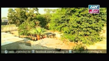 Mehmoodabad Ki Malkain Ep - 22 - 2nd March 2016