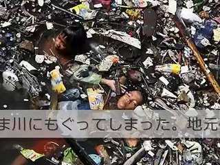 【閲覧注意】 巨大ワニに１０歳の少女が 丸呑みされる 衝撃（インドネシア）