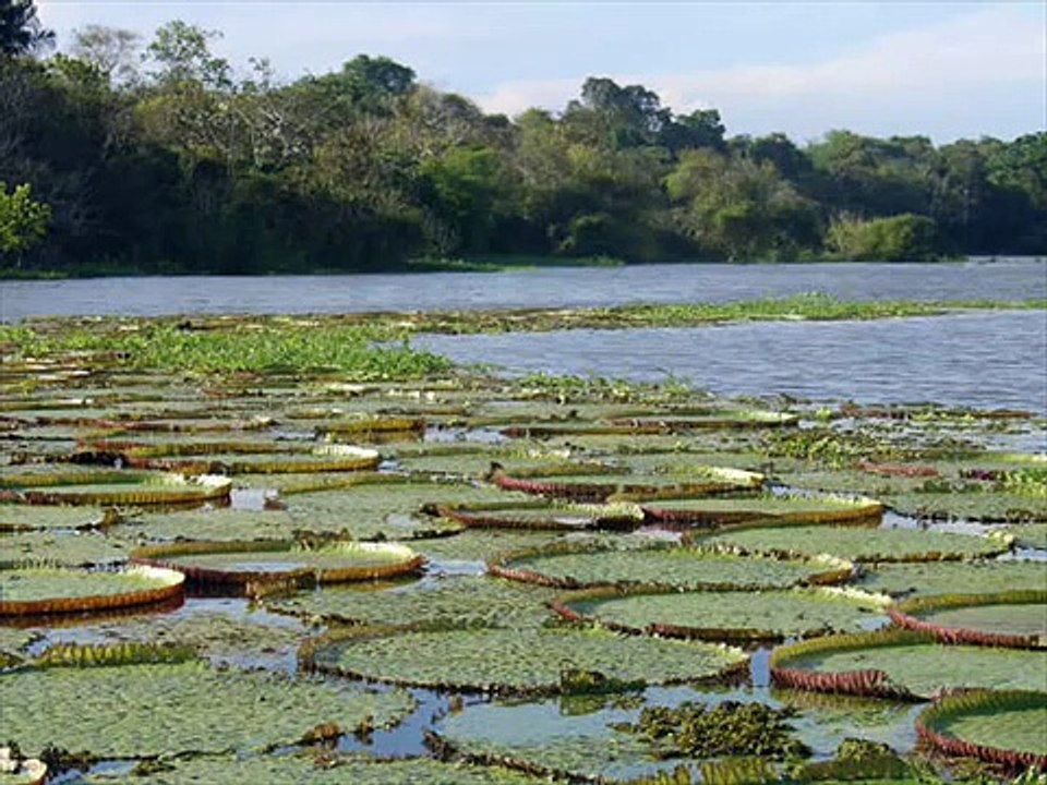 Massacre at Ramree Island