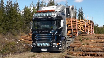 Scania R730 6x4 Timber Truck Loading