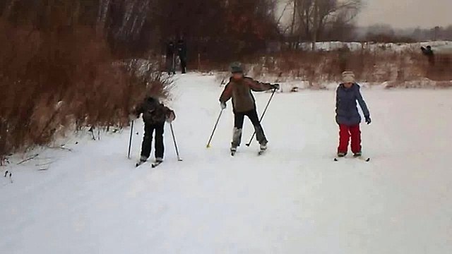 Катание на лыжах. Станция юннатов