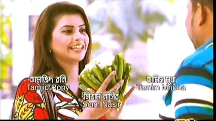 Bangla Natok Nine and a half Part 214