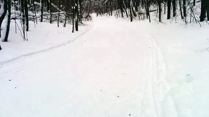 Лыжное двоеборье, г.Лениногорск, 13.01.2016. Лыжная гонка(1)