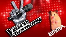 Voting: WER IST DEIN FAVORIT bei The Voice of Germany