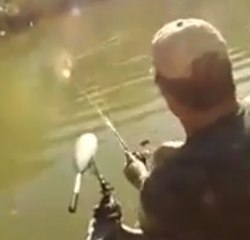 A fish is torn to shreds in the blink of an eye