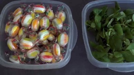 Bon Bon in real life (MLP in real life)