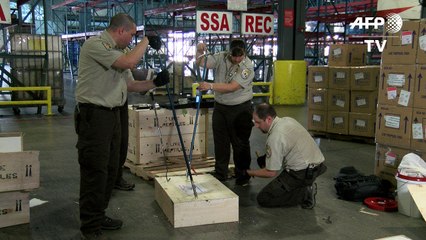 La lucha contra el tráfico de animales