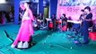 Antara Mitra Delhi Kali Badi Durga Pooja Oct 2014 Bengali Songs 1
