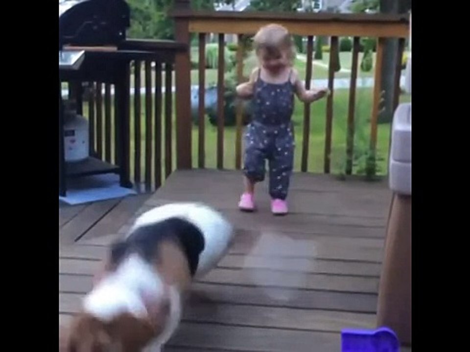 New ! Vine - Funny Dog -Cute Kids - Funny Kitty- Sensitive Dog - Vine Compilation