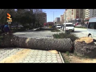 360° Gradë -VLORE  NIS PROJEKTI PER REHABILITIMIN E HAPSIRAVE TE GJELBERA