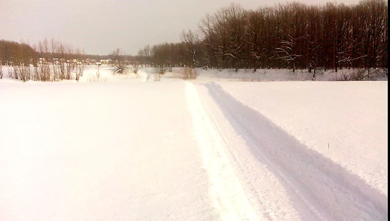 Снегоход Stels 800 росомаха по пухляку