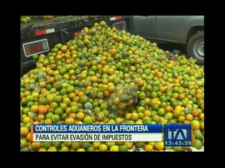 Controles aduaneros en la frontera colombo-ecuatoriana