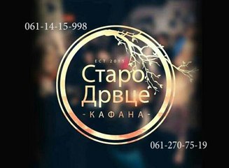 Srecko Krecar i orkestar Borka Radivojevica - Nista nije zauvek - uzivo - Staro drvce
