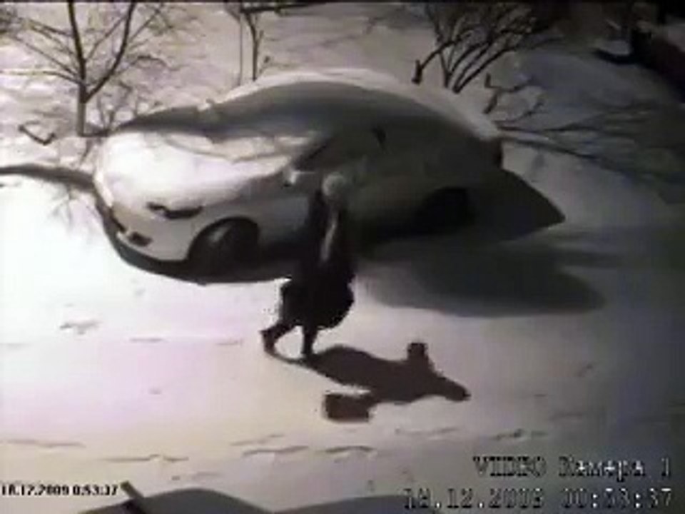 Утром обнаружил вмятину на двери, просмотрел видео с камер видео охраны поржал