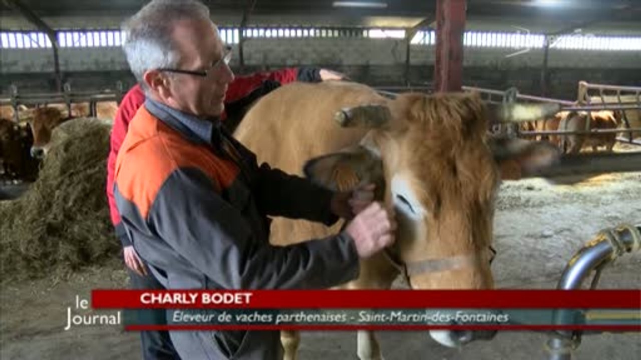Salon de l'Agriculture 2016 : l'exploitation de Charly Bodet